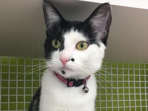 Marilyn